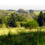 Abbildng: Location
